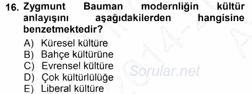 Çağdaş Sosyoloji Kuramları 2014 - 2015 Ara Sınavı 16.Soru