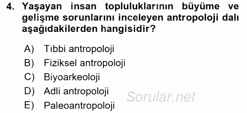 Antropoloji 2017 - 2018 Dönem Sonu Sınavı 4.Soru