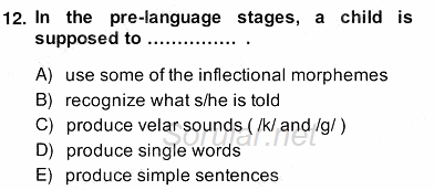Dilbilim 2 2013 - 2014 Ara Sınavı 12.Soru