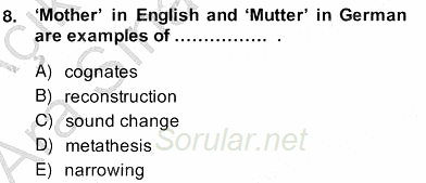 Dilbilim 2 2013 - 2014 Ara Sınavı 8.Soru