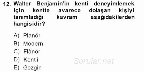 Toplumsal Cinsiyet Sosyolojisi 2013 - 2014 Tek Ders Sınavı 12.Soru