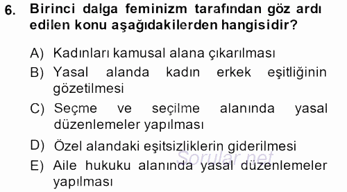 Toplumsal Cinsiyet Sosyolojisi 2013 - 2014 Tek Ders Sınavı 6.Soru