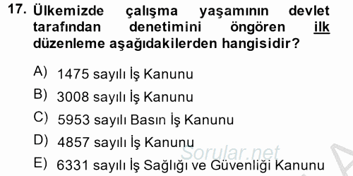 Çalışma Yaşamının Denetimi 2014 - 2015 Ara Sınavı 17.Soru