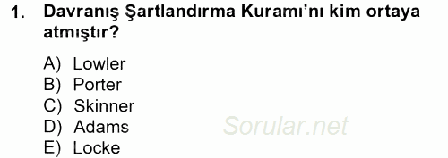 İş ve Yaşamda Motivasyon 2012 - 2013 Ara Sınavı 1.Soru