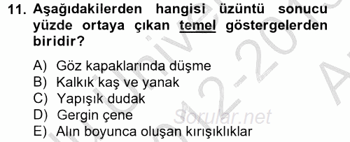 İş ve Yaşamda Motivasyon 2012 - 2013 Ara Sınavı 11.Soru