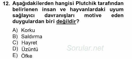 İş ve Yaşamda Motivasyon 2012 - 2013 Ara Sınavı 12.Soru