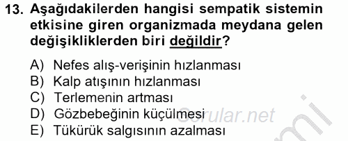 İş ve Yaşamda Motivasyon 2012 - 2013 Ara Sınavı 13.Soru