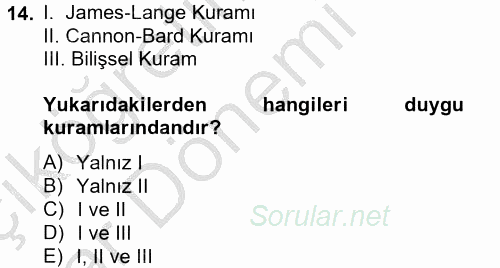 İş ve Yaşamda Motivasyon 2012 - 2013 Ara Sınavı 14.Soru