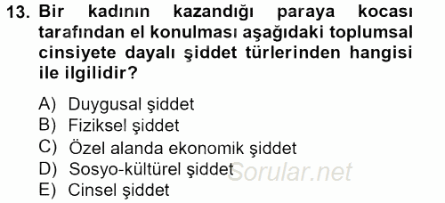 Toplumsal Cinsiyet Çalışmaları 2013 - 2014 Tek Ders Sınavı 13.Soru