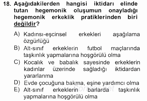Toplumsal Cinsiyet Çalışmaları 2013 - 2014 Tek Ders Sınavı 18.Soru