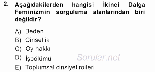 Toplumsal Cinsiyet Çalışmaları 2013 - 2014 Tek Ders Sınavı 2.Soru