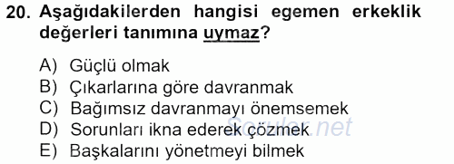 Toplumsal Cinsiyet Çalışmaları 2013 - 2014 Tek Ders Sınavı 20.Soru