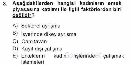 Toplumsal Cinsiyet Çalışmaları 2013 - 2014 Tek Ders Sınavı 3.Soru