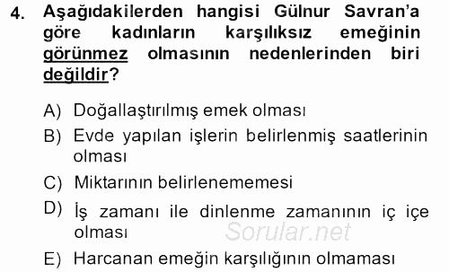 Toplumsal Cinsiyet Çalışmaları 2013 - 2014 Tek Ders Sınavı 4.Soru