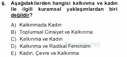 Toplumsal Cinsiyet Çalışmaları 2013 - 2014 Tek Ders Sınavı 6.Soru