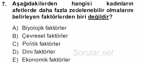 Toplumsal Cinsiyet Çalışmaları 2013 - 2014 Tek Ders Sınavı 7.Soru