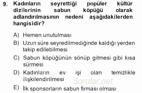 Toplumsal Cinsiyet Çalışmaları 2013 - 2014 Tek Ders Sınavı 9.Soru