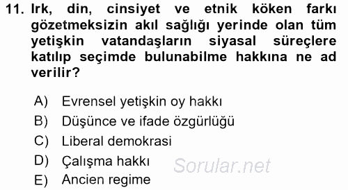 İnsan Hakları ve Demokratikleşme Süreci 2016 - 2017 3 Ders Sınavı 11.Soru