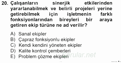 Sağlık Kurumlarında Kalite Yönetimi 2012 - 2013 Ara Sınavı 20.Soru