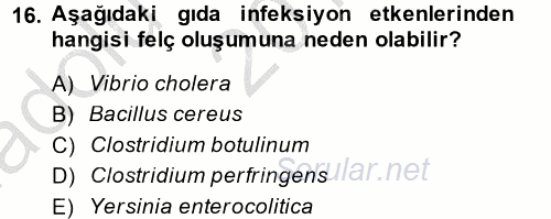 Gıda Güvenliğinin Temel Prensipleri 2014 - 2015 Ara Sınavı 16.Soru