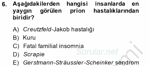 Gıda Güvenliğinin Temel Prensipleri 2014 - 2015 Ara Sınavı 6.Soru