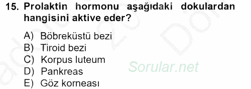 Temel Veteriner Biyokimya 2012 - 2013 Dönem Sonu Sınavı 15.Soru