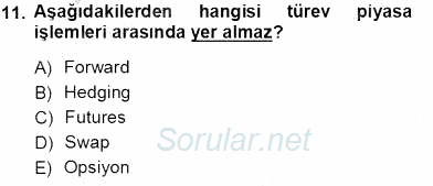Finansal Ekonomi 2013 - 2014 Tek Ders Sınavı 11.Soru