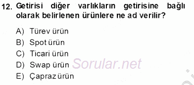 Finansal Ekonomi 2013 - 2014 Tek Ders Sınavı 12.Soru