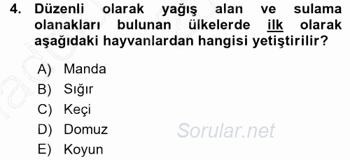 Temel Zootekni 2015 - 2016 Ara Sınavı 4.Soru