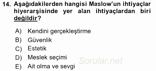 Çocuk Gelişimi 2017 - 2018 3 Ders Sınavı 14.Soru