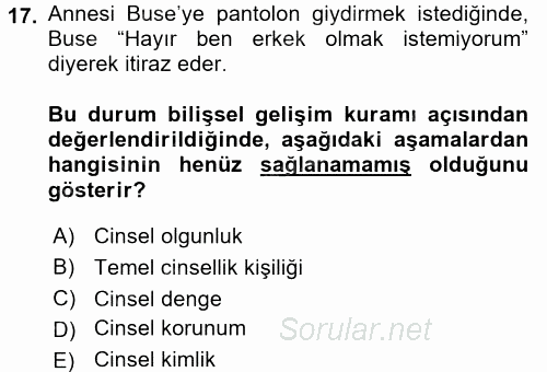 Çocuk Gelişimi 2017 - 2018 3 Ders Sınavı 17.Soru