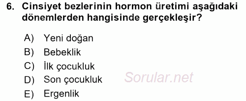Çocuk Gelişimi 2017 - 2018 3 Ders Sınavı 6.Soru