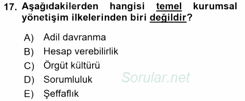 Stratejik Yönetim 2 2016 - 2017 3 Ders Sınavı 17.Soru