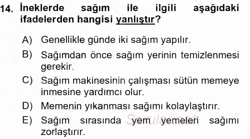 Hayvan Yetiştirme 2015 - 2016 Ara Sınavı 14.Soru