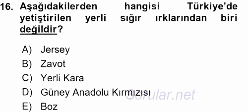 Hayvan Yetiştirme 2015 - 2016 Ara Sınavı 16.Soru