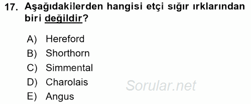 Hayvan Yetiştirme 2015 - 2016 Ara Sınavı 17.Soru