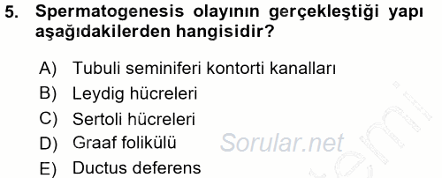 Hayvan Yetiştirme 2015 - 2016 Ara Sınavı 5.Soru