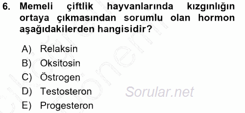 Hayvan Yetiştirme 2015 - 2016 Ara Sınavı 6.Soru