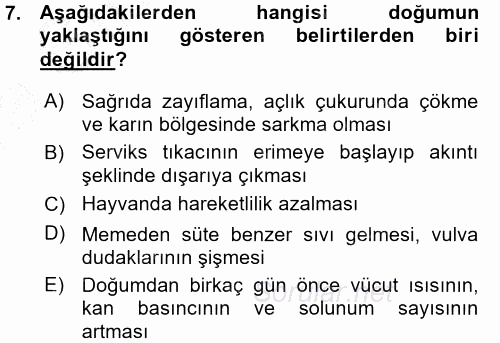 Hayvan Yetiştirme 2015 - 2016 Ara Sınavı 7.Soru