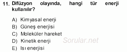 Hücre Kimyası 2013 - 2014 Dönem Sonu Sınavı 11.Soru