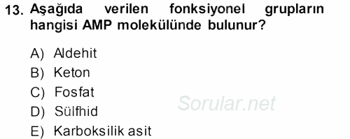 Hücre Kimyası 2013 - 2014 Dönem Sonu Sınavı 13.Soru