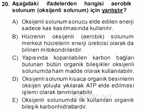 Hücre Kimyası 2013 - 2014 Dönem Sonu Sınavı 20.Soru