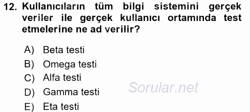 İşletme Bilgi Sistemleri 2017 - 2018 Ara Sınavı 12.Soru