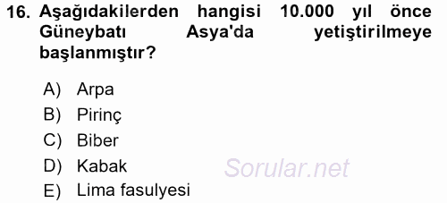 Gastronomi Tarihi 2015 - 2016 Ara Sınavı 16.Soru