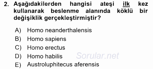 Gastronomi Tarihi 2015 - 2016 Ara Sınavı 2.Soru