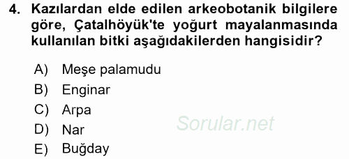 Gastronomi Tarihi 2015 - 2016 Ara Sınavı 4.Soru