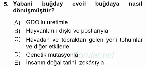 Gastronomi Tarihi 2015 - 2016 Ara Sınavı 5.Soru