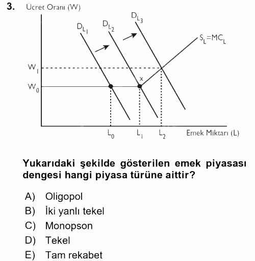 Çalışma Ekonomisi 2017 - 2018 Dönem Sonu Sınavı 3.Soru