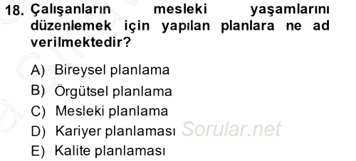Performans ve Kariyer Yönetimi 2014 - 2015 Ara Sınavı 18.Soru