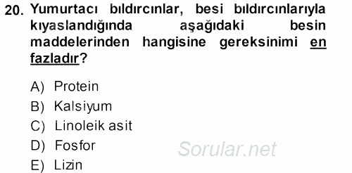 Temel Yem Bilgisi ve Hayvan Besleme 2013 - 2014 Dönem Sonu Sınavı 20.Soru